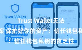 Trust Wallet无法下载解决方案 保护好你的资产：信任钱包私钥的贫乏性